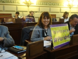 se-otorgo-media-sancion-en-diputados-por-aclamacion-a-la-ley-de-paridad