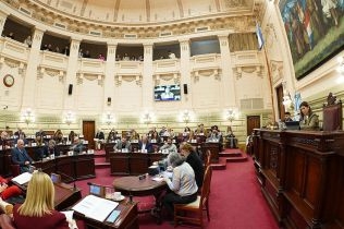 La Cámara de Diputados dio media sanción al Consejo Consultivo de Infancias y Adolescencias de la Convención Constituyente