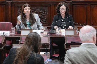 audiencia-publica-de-la-comision-de-funcionamiento-del-estado-y-participacion-ciudadana-en-el-recinto-de-camara-de-diputados