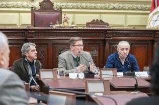 audiencia-publica-de-la-comision-de-poder-legislativo-y-poder-ejecutivo-presidida-por-rodrigo-borla