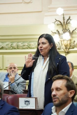 la-diputada-castellani-juro-sobre-la-nueva-constitucion-provincial