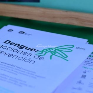 dengue-son-ocho-los-barrios-donde-se-encontro-la-presencia-del-vector-transmisor
