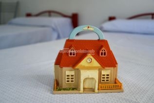 casa-amiga-el-centro-de-proteccion-para-mujeres-y-mujeres-trans-reabre-remodelado