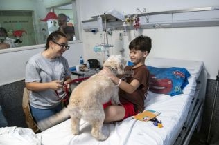 con-cala-y-zafira-comenzo-la-prueba-piloto-de-ingreso-de-animales-de-compania-en-el-hospital-vilela