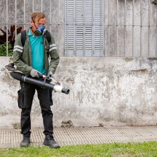 dengue-se-confirmo-la-presencia-del-vector-en-35-barrios-de-la-ciudad