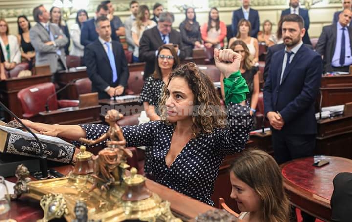 Mónica Peralta solicita al Poder Ejecutivo estudios, informes y evaluaciones