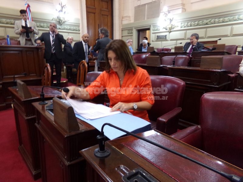 Betina Florito decidió conformar un nuevo bloque legislativo bajo el nombre Somos Vida Santa Fe