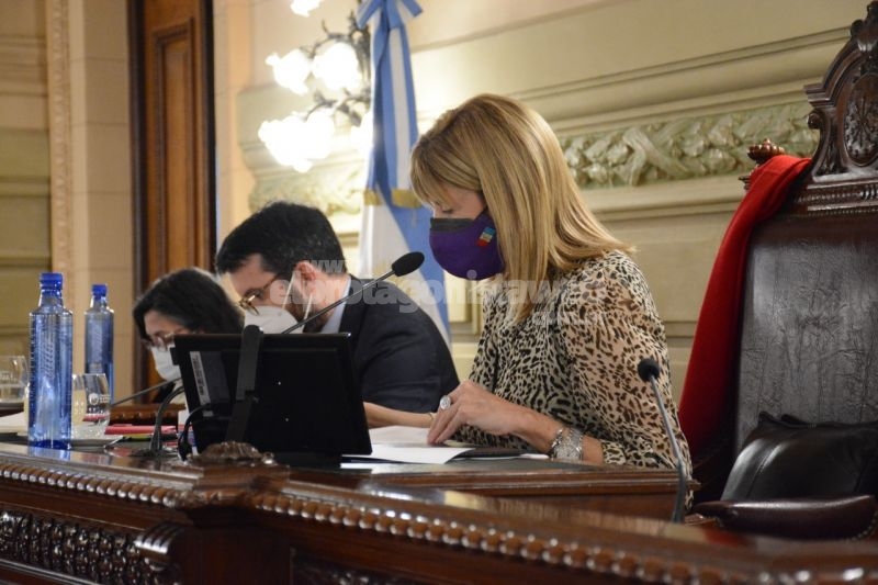 Se avanzó en el Senado con un régimen especial del requisito de antigüedad de los vehículos de transporte de pasajeros