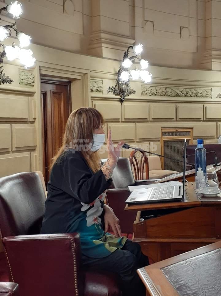 Cristina Berra avanzó en la media sanción para la creación de dos juzgados en San Jorge
