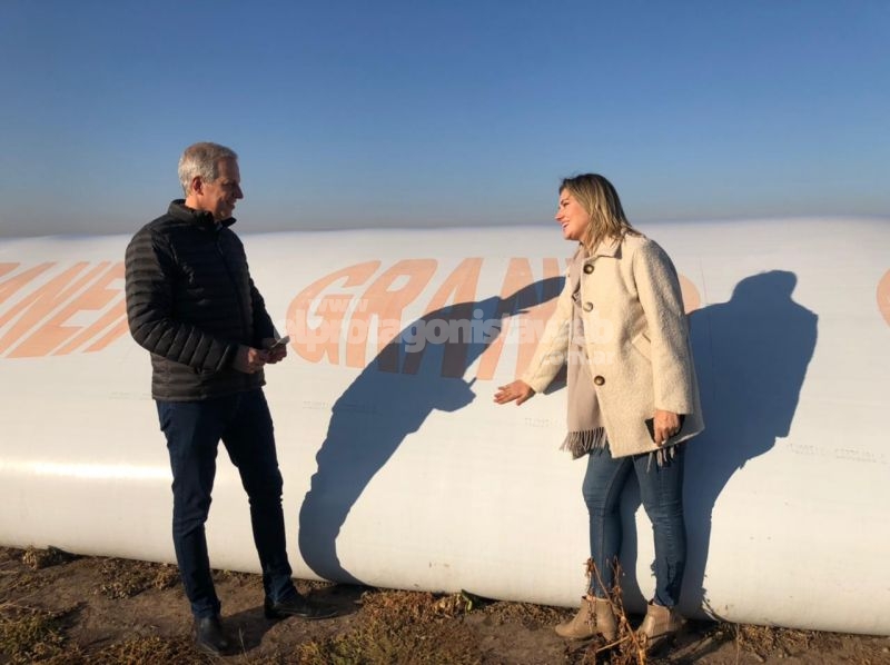 Carolina Losada: ' 'El Estado es hoy una máquina de impedir producir, exportar y comercializar' '