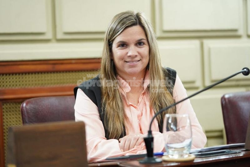 El Socialismo impulsa una alternativa para sumar aportes a los clubes