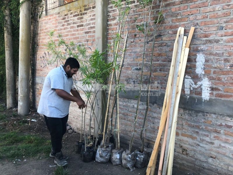 La Municipalidad continúa con la erradicación de basurales en Playa Norte