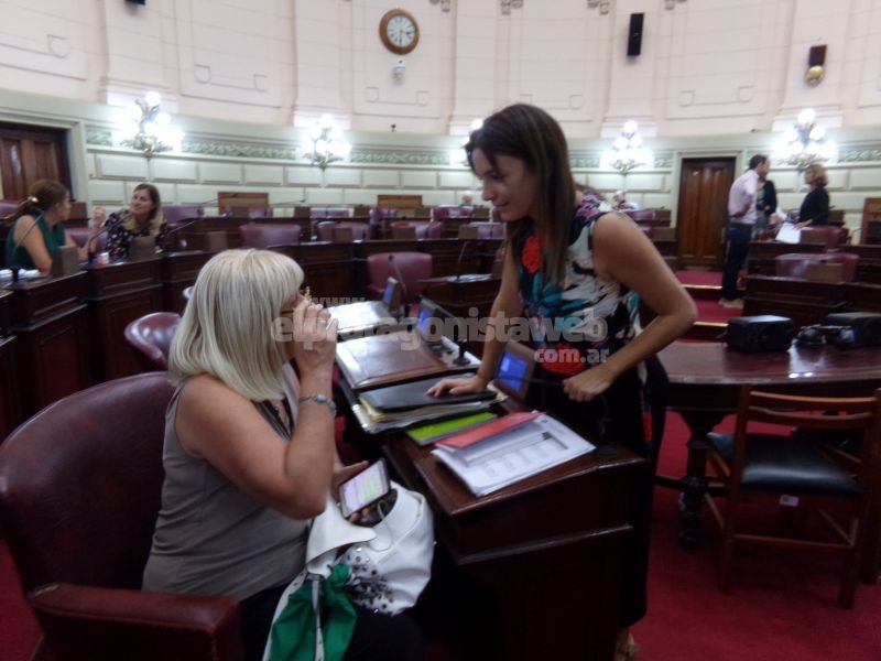 Hidrovía Paraná-Paraguay: Comisión Bicameral Permanente del Seguimiento de la licitación y funcionamiento