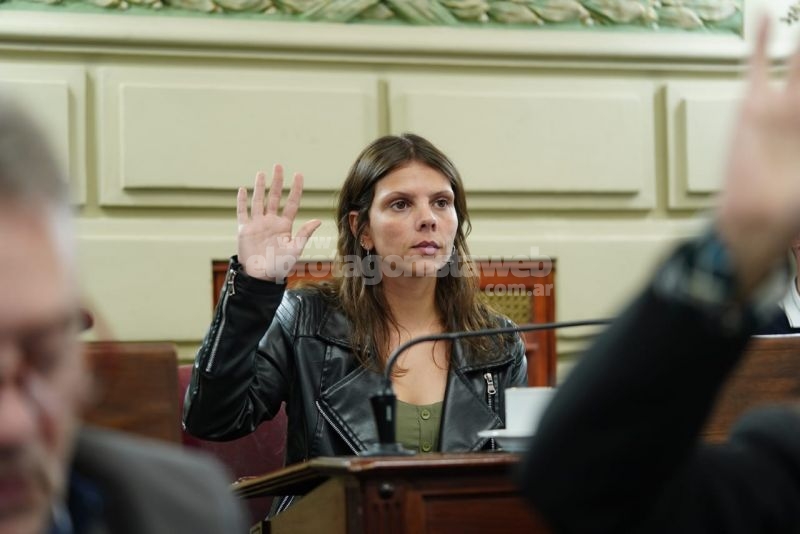 Gisel Mahmud solicita al Poder Ejecutivo que reglamente la Ley Nº 13.923 de creación del Abogado del Niño