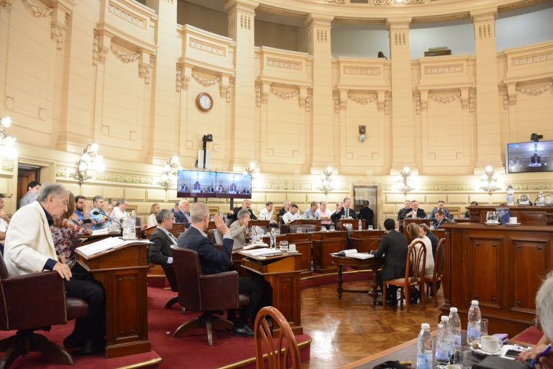 Michlig, Giacomino, Borla y Marcón, con el apoyo unánime del resto de los senadores y senadora, avanzaron con la nueva Ley Orgánica de Ministerios