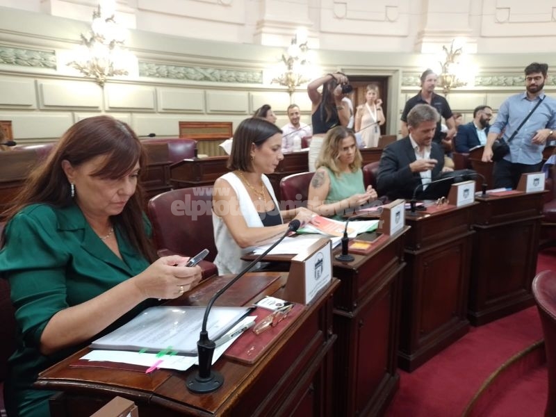 Lucila De Ponti insiste con la creación de una Comisión Bicameral de Seguimiento de la Hidrovía Paraná – Paraguay en el ámbito de la Legislatura