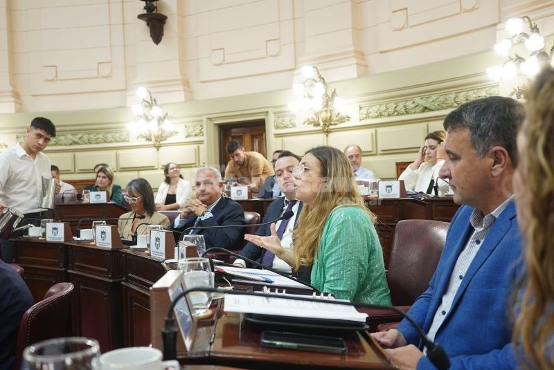 La Cámara de Diputados, en la próxima sesión, sancionaría al menos cuatro Proyectos de Ley provenientes del Senado