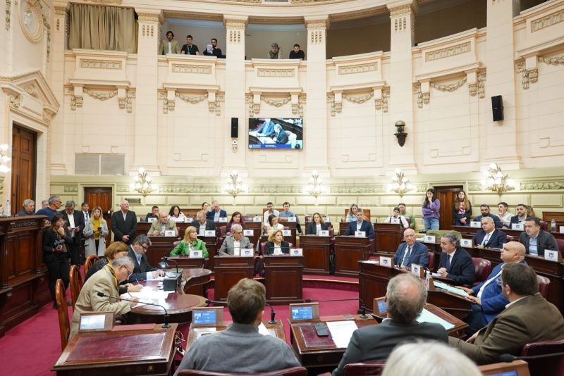 La Cámara de Diputados aceptó el veto parcial con texto alternativo a tres leyes sancionadas por la Legislatura en noviembre de 2024