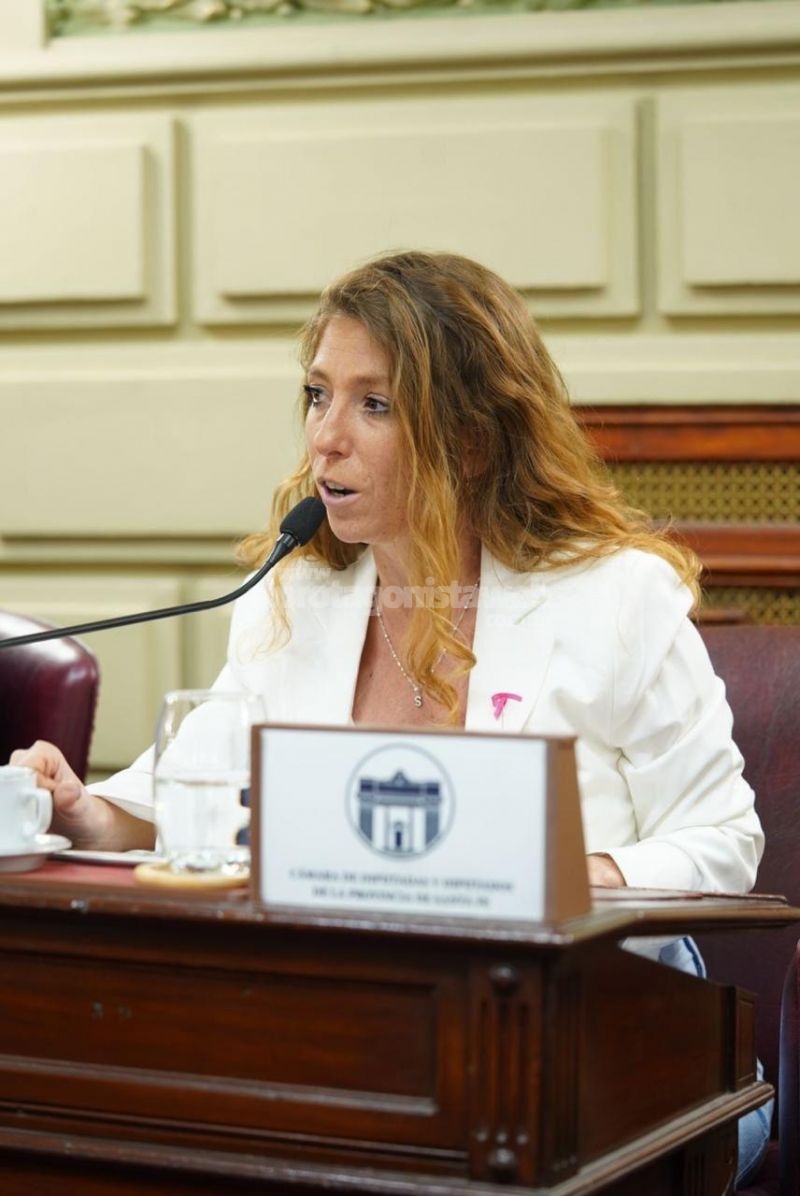 Sofía Galnares: ''Este junio nuevamente conmemoramos el día del Ambiente en la Legislatura''