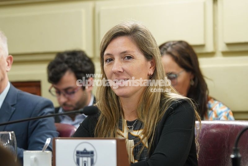 Armas Belavi: Impulsamos incorporar los derechos de las personas con discapacidad en la Constitución santafesina