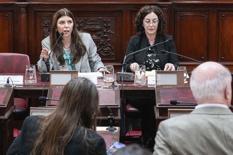 Audiencia Pública de la Comisión de Funcionamiento del Estado y Participación Ciudadana en el recinto de Cámara de Diputados