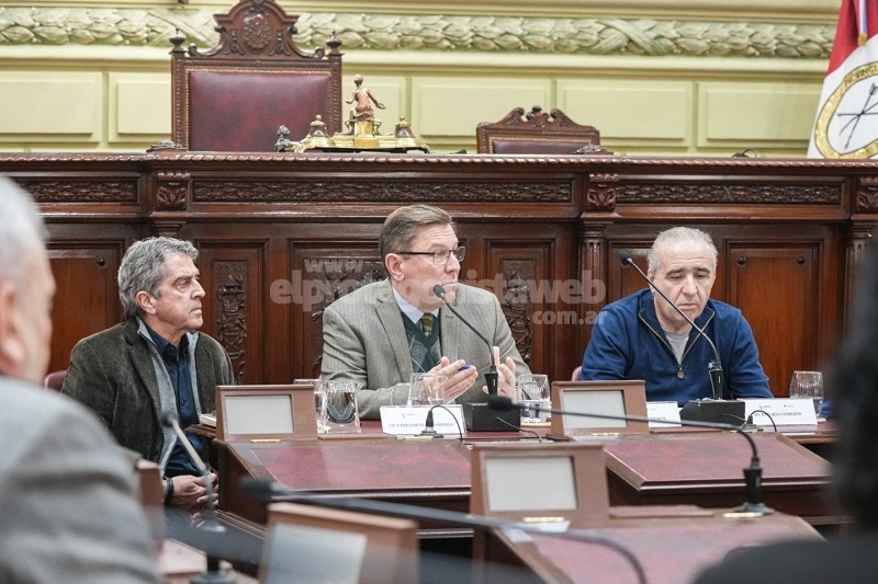 Audiencia Pública de la Comisión de Poder Legislativo y Poder Ejecutivo, presidida por Rodrigo Borla.