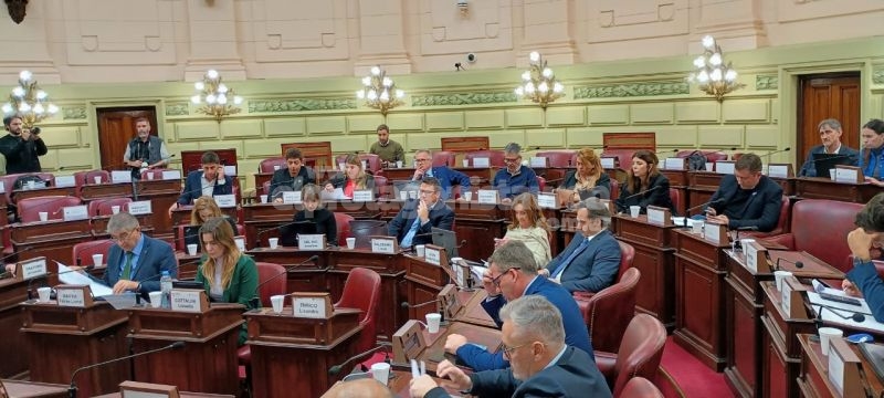 La “Redactora” remitió dictámenes a la Convención sobre “Régimen Municipal, Derecho a la Ciudad y Ordenamiento Territorial”