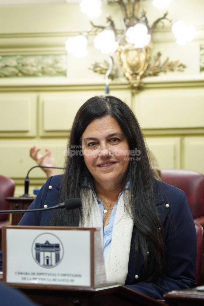 La diputada Castellani cuestionó los anuncios del Gobierno nacional para el campo por favorecer a los exportadores y no a los productores