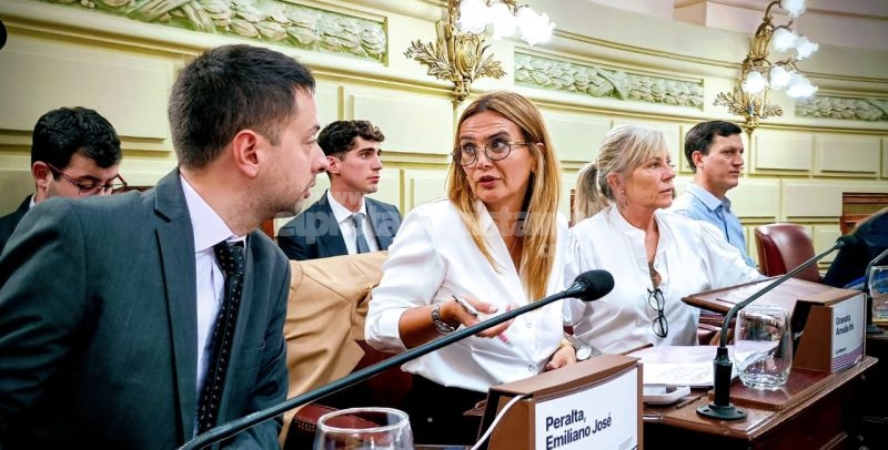 Granata propone crear la Libreta Digital de Salud Infantil en Santa Fe