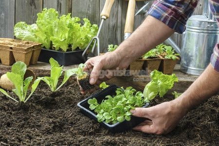 Se viene el último curso de formación impulsado por Di Gregorio