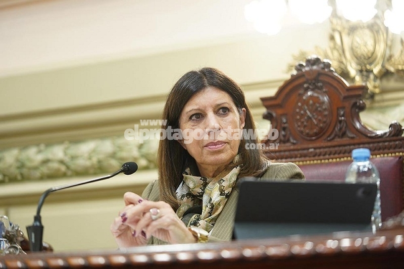 La Cámara de Diputadas y Diputados distinguió más de 90 iniciativas culturales, deportivas, educativas y comunitarias en toda la provincia