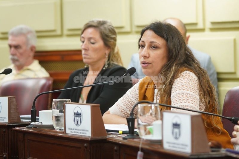 Fentanilo contaminado: diputados provinciales aprobaron una declaración de apoyo a los familiares de las víctimas