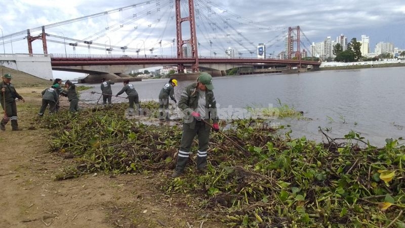 La Municipalidad limpió de camalotes la playa de la Costanera Este