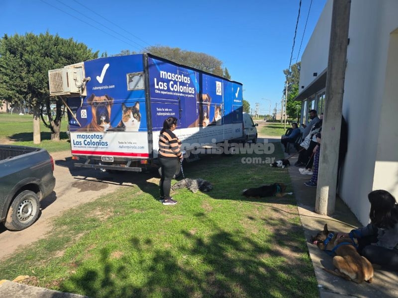 Mascotas Las Colonias cierra 2025 con cobertura total y permanente en Las Colonias  y miles de intervenciones gratuitas.