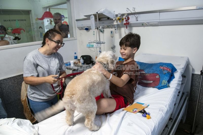 Con Cala y Zafira, comenzó la prueba piloto de ingreso de animales de compañía en el Hospital Vilela
