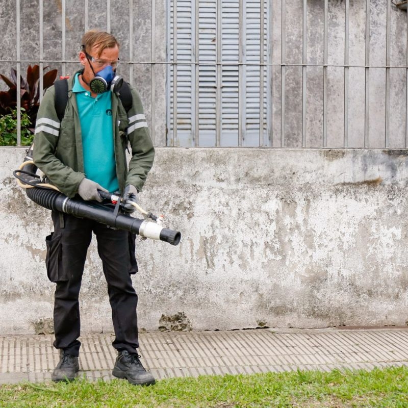 Dengue: se confirmó la presencia del vector en 35 barrios de la ciudad